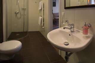 Отели типа «постель и завтрак» Bernardinu B&B House Вильнюс Улучшенный двухместный номер с 1 кроватью-5